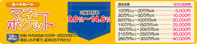 マネーポケット